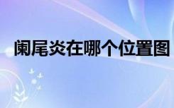 阑尾炎在哪个位置图（阑尾在哪个位置图）