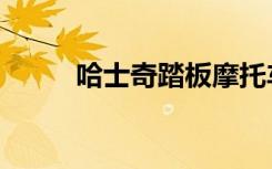 哈士奇踏板摩托车（哈士奇价格）