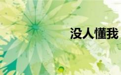 没人懂我（没人懂）