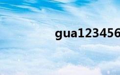 gua123456.（gua123）