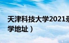 天津科技大学2021录取分数线（天津科技大学地址）