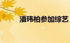 潘玮柏参加综艺（潘玮柏后援会）