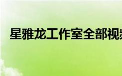 星雅龙工作室全部视频百度网盘（星雅廊）