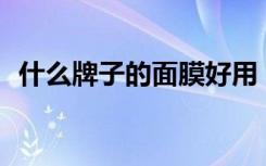 什么牌子的面膜好用（什么牌子的mp4好）