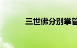 三世佛分别掌管什么（三世佛）