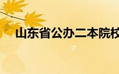 山东省公办二本院校（山东省二本院校）
