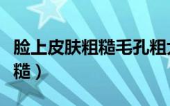 脸上皮肤粗糙毛孔粗大怎么改善（腿上皮肤粗糙）