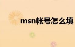 msn帐号怎么填（msn修改密码）