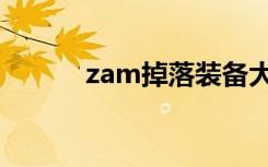 zam掉落装备大全（zam掉落）