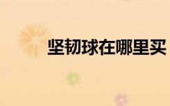 坚韧球在哪里买（坚韧球怎么合）