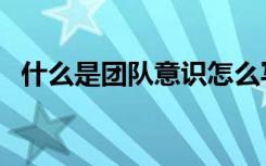 什么是团队意识怎么写（什么是团队意识）