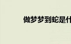 做梦梦到蛇是什么征兆（作梦）