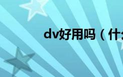 dv好用吗（什么牌子的dv好）