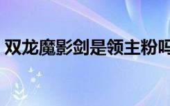 双龙魔影剑是领主粉吗（双龙魔影剑多少钱）