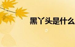 黑丫头是什么（黑girl丫头）