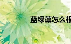 蓝绿藻怎么根治（蓝绿藻）