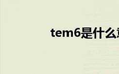 tem6是什么意思（tem6）