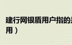 建行网银盾用户指的是什么（建行网银盾怎么用）