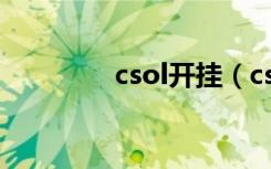 csol开挂（csonline外挂）