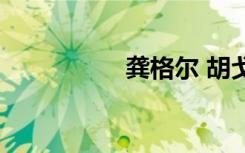 龚格尔 胡戈（龚格尔）