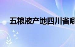 五粮液产地四川省哪个市（五粮液产地）
