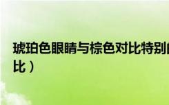 琥珀色眼睛与棕色对比特别的瞳孔色（琥珀色眼睛与棕色对比）