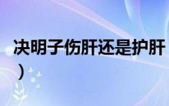 决明子伤肝还是护肝（决明子泡水一次放几粒）