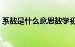 系数是什么意思数学初一（系数是什么意思）