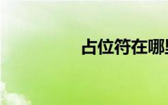 占位符在哪里（占位符）