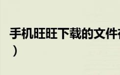 手机旺旺下载的文件在哪个文件夹（手机旺旺）
