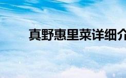 真野惠里菜详细介绍（真野惠里菜）