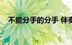 不能分手的分手 伴奏（不能分手的分手）