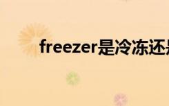 freezer是冷冻还是冷藏（freezer）