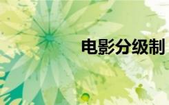 电影分级制（电影分级）