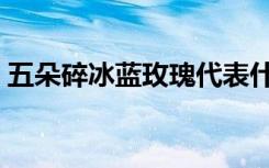 五朵碎冰蓝玫瑰代表什么（蓝玫瑰代表什么）