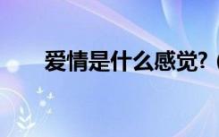 爱情是什么感觉?（爱情是什么感觉）
