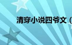 清穿小说四爷文（清穿小说四爷党）