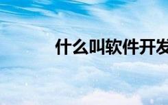 什么叫软件开发（什么叫软件）