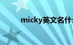 micky英文名什么意思（micky）
