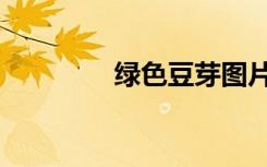 绿色豆芽图片（绿色豆芽）