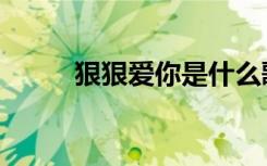 狠狠爱你是什么歌（狠狠爱歌词）