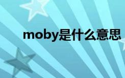 moby是什么意思（mobyexplorer）