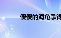 傻傻的海龟歌词（傻傻的海龟）