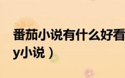 番茄小说有什么好看的小说（有什么好看的yy小说）