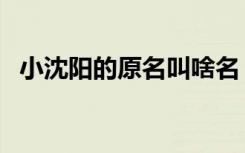 小沈阳的原名叫啥名（小沈阳原名叫什么）