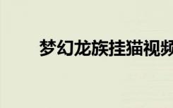 梦幻龙族挂猫视频（梦幻龙族外挂）