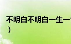 不明白不明白一生一世不了解（不明白不明白）
