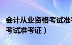 会计从业资格考试准考证打印入口（会计从业考试准考证）