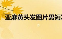亚麻黄头发图片男短发（亚麻黄头发图片）