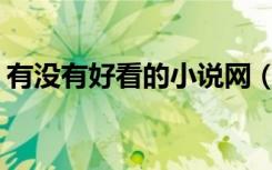 有没有好看的小说网（有没有好看的yy小说）